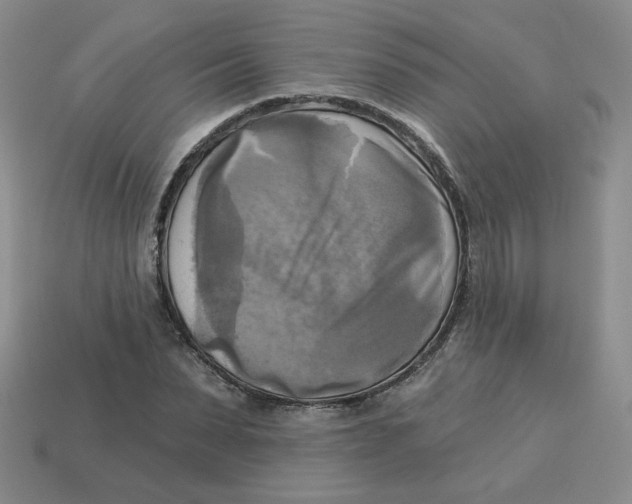 X0000113300879200910131045