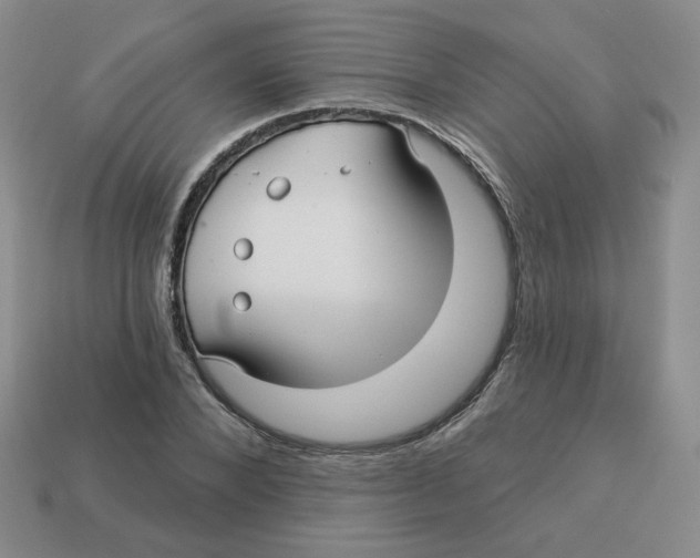 X0000113300880200910131045