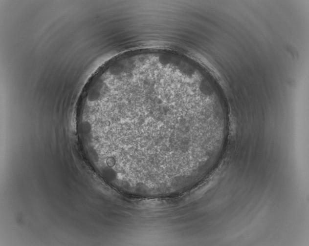 X0000113300883200910131045
