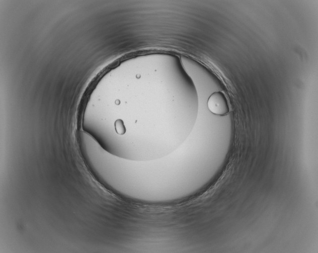 X0000113300884200910131045