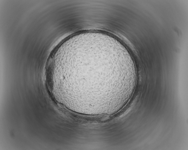 X0000113300885200910131045