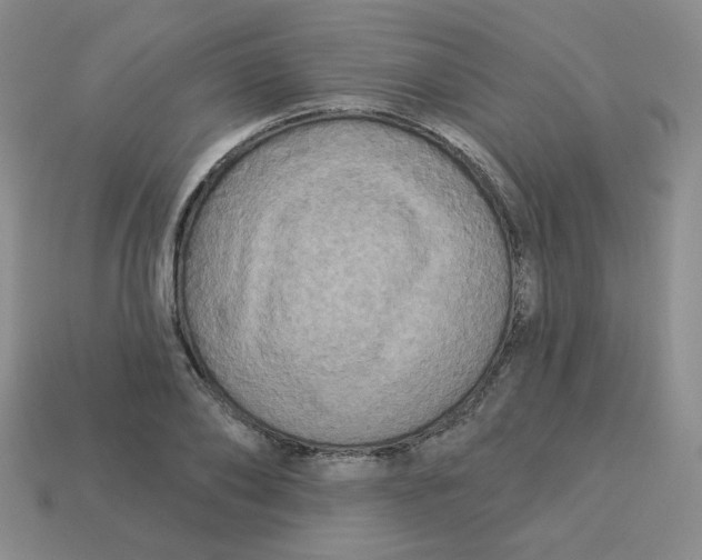 X0000113300886200910131045