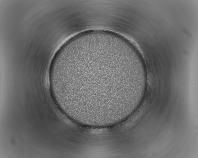 X0000113300887200910131045