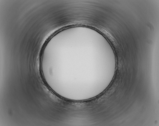 X0000113300888200910131045
