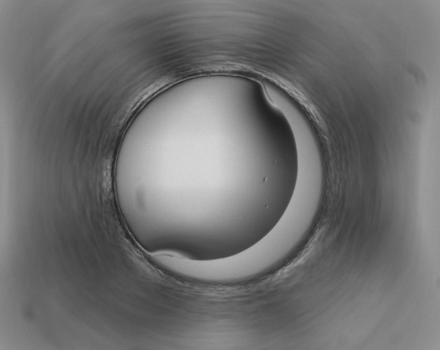X0000113300889200910131045