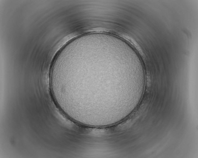 X0000113300890200910131045