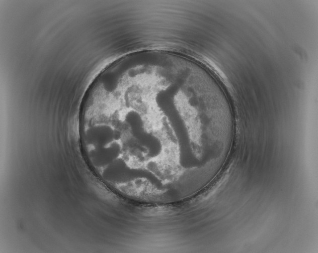 X0000113300891200910131045