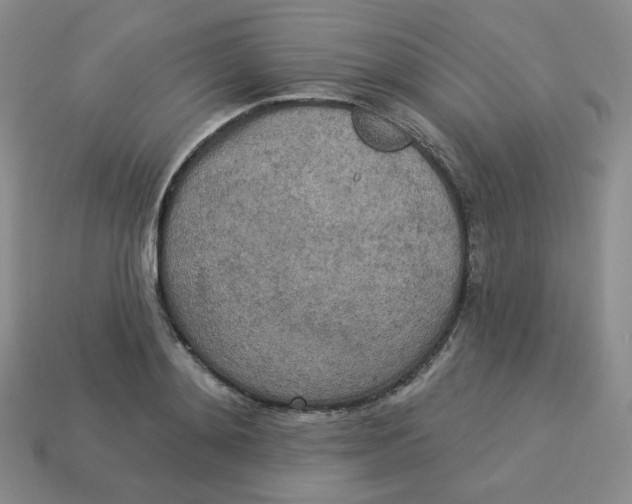 X0000113300892200910131045