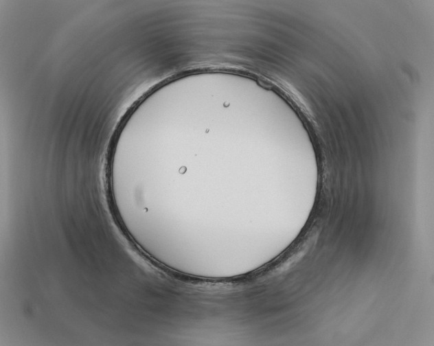 X0000113300893200910131045