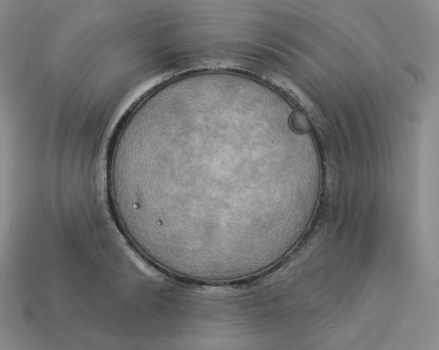 X0000113300894200910131045
