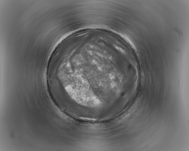 X0000113300895200910131045
