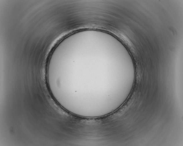 X0000113300896200910131045