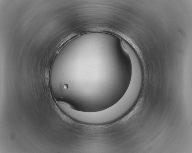 X0000113300897200910131045