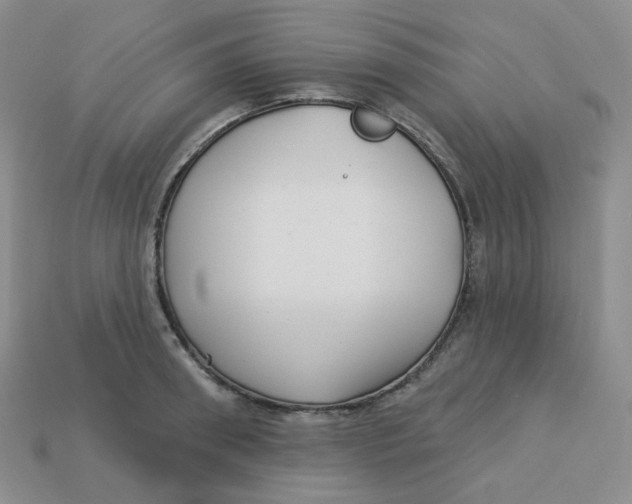 X0000113300898200910131045