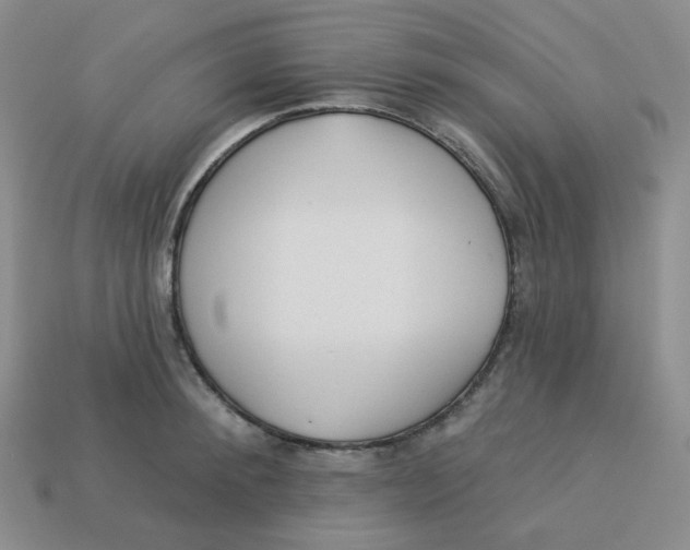 X0000113300900200910131045