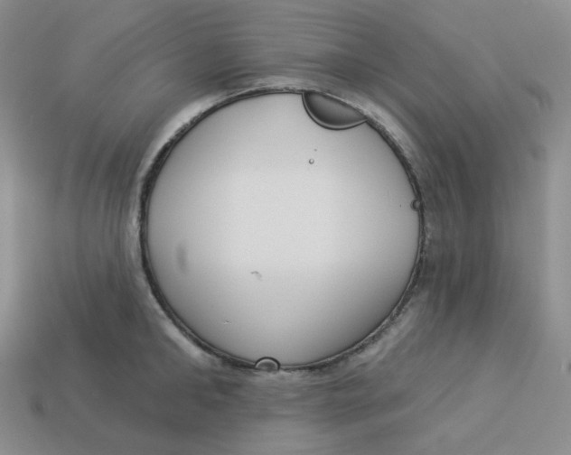X0000113300902200910131045