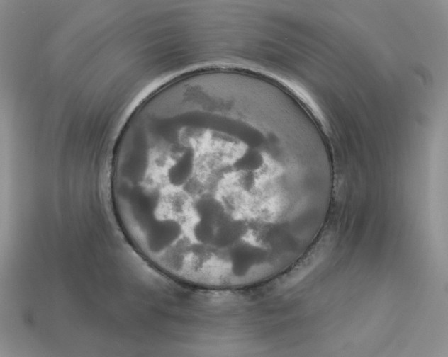 X0000113300903200910131045