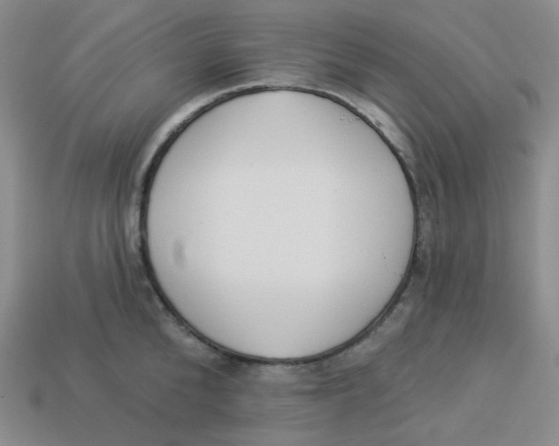 X0000113300904200910131044