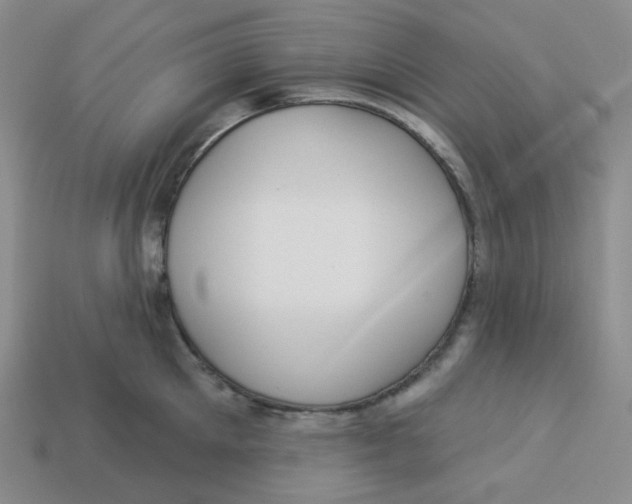 X0000113300905200910131044