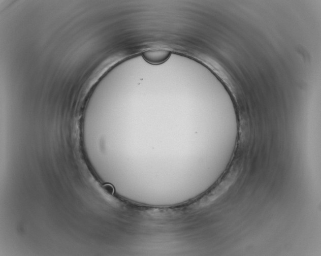 X0000113300906200910131044