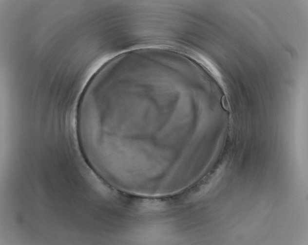 X0000113300907200910131044