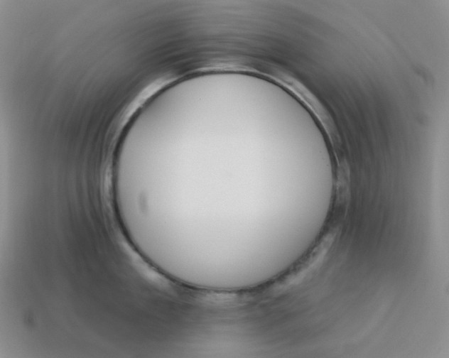 X0000113300909200910131044