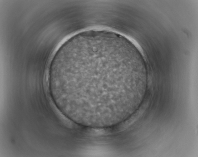 X0000113300911200910131044