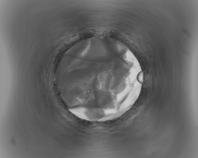 X0000113300913200910131044