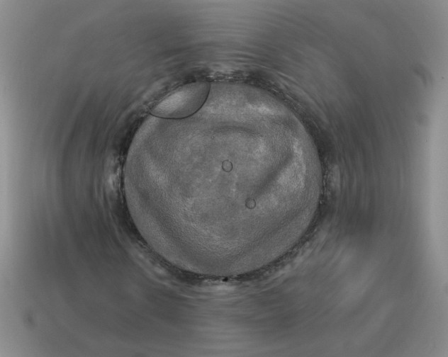 X0000113300914200910131044