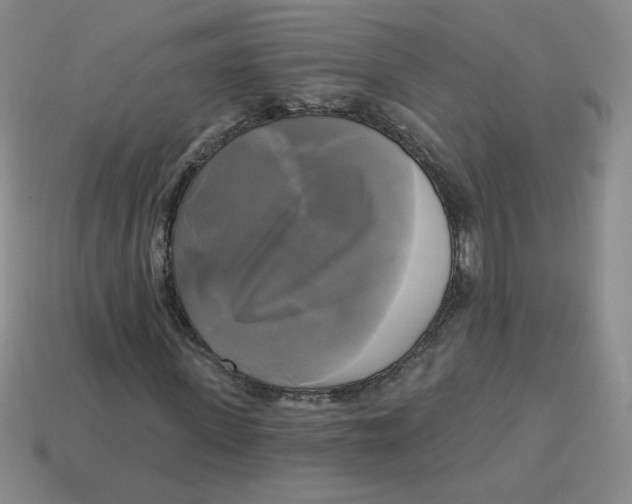 X0000113300915200910131044