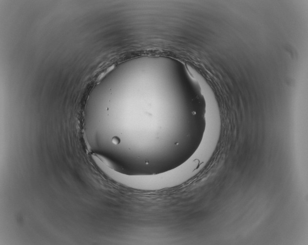 X0000113300916200910131044