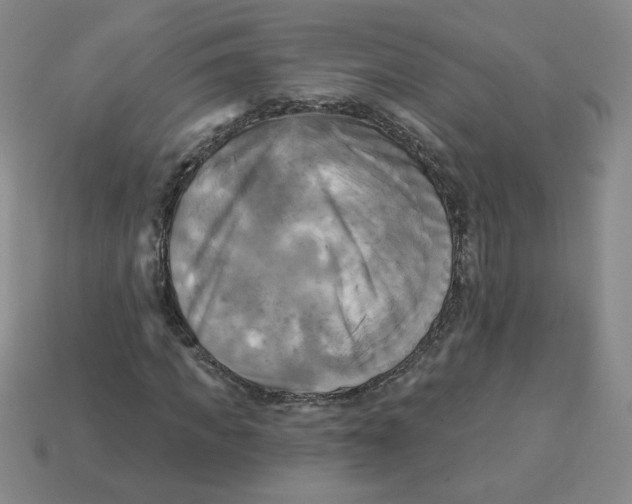 X0000113300917200910131044