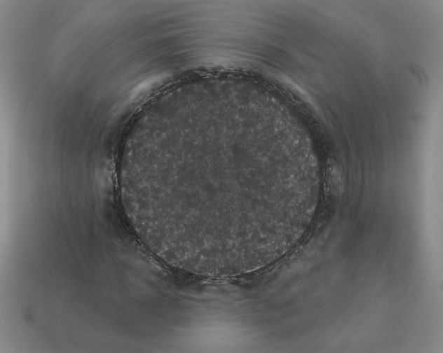 X0000113300918200910131044
