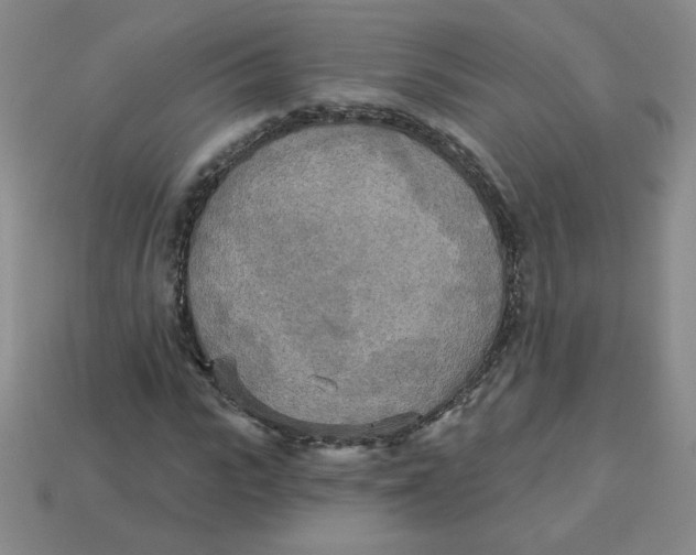 X0000113300919200910131044