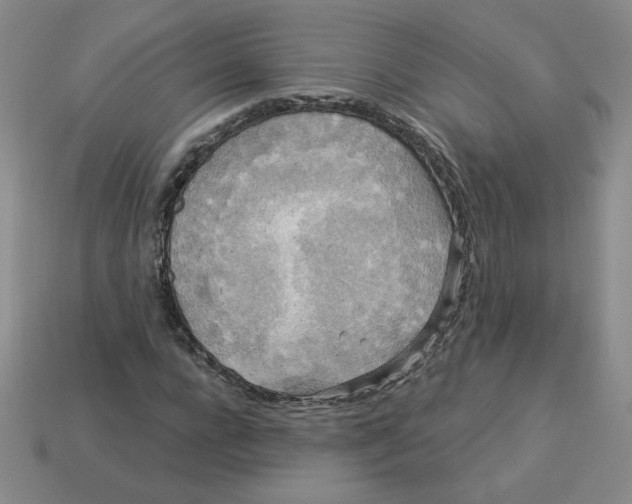 X0000113300920200910131044