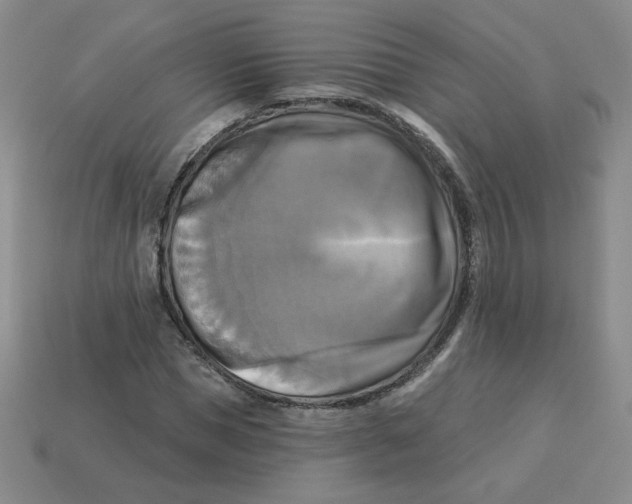 X0000113300921200910131044