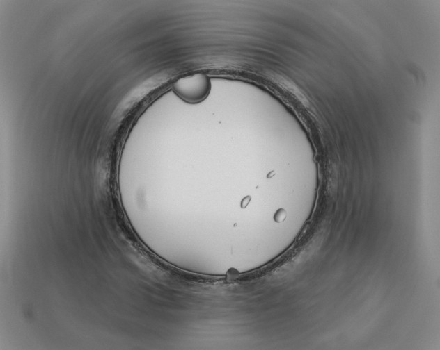 X0000113300922200910131044