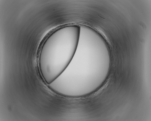 X0000113300924200910131044