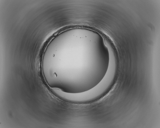 X0000113300925200910131044