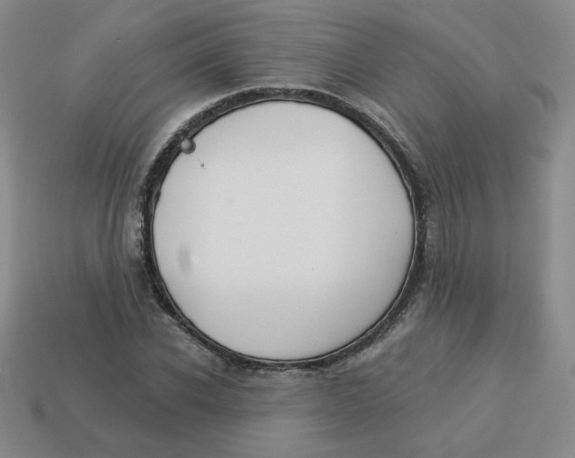 X0000113300926200910131044