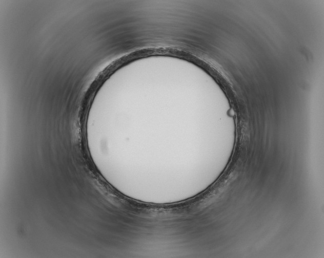 X0000113300927200910131044