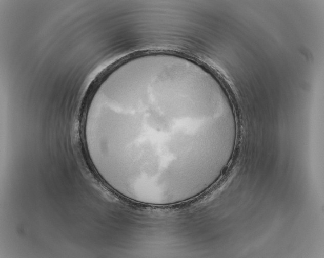 X0000113300928200910131044