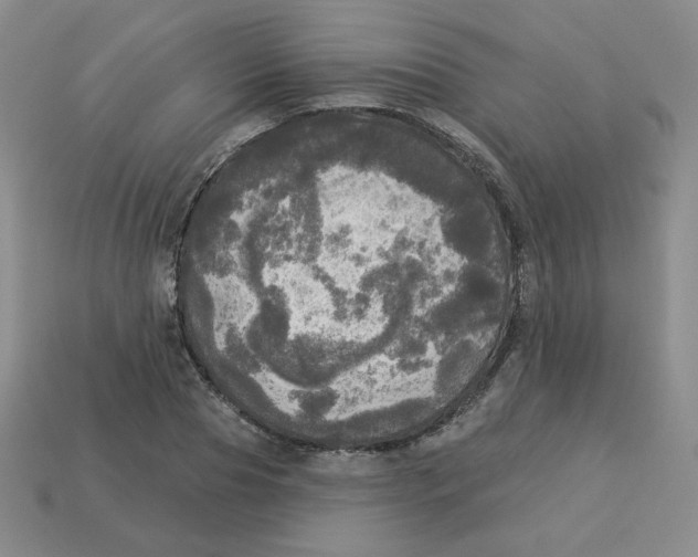 X0000113300929200910131044