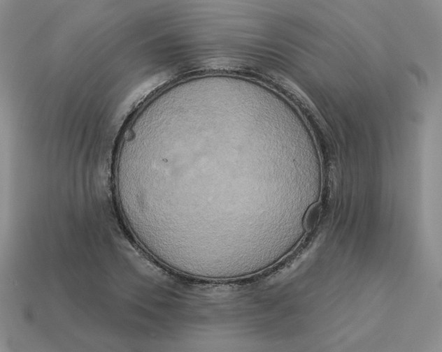X0000113300930200910131044