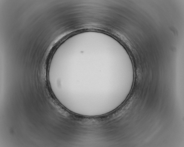 X0000113300931200910131044