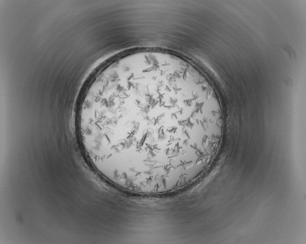 X0000113300932200910131044