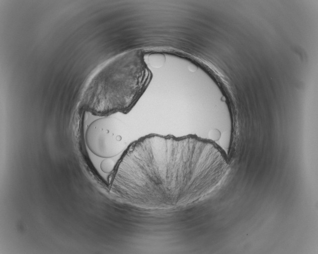X0000113300933200910131044