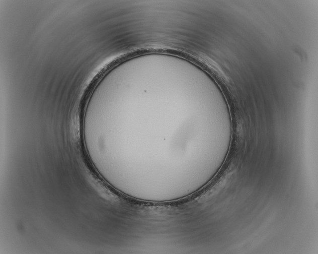 X0000113300934200910131044