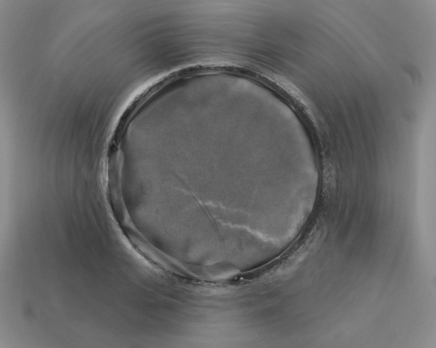 X0000113300935200910131044