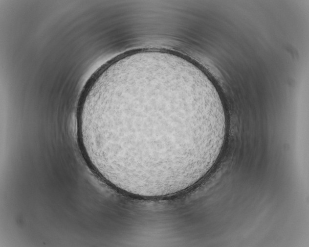 X0000113300936200910131044